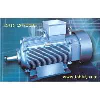 唐山冶金起重電機、變頻電機、輥道電機、渦流電機、高壓電機及低壓大功率電機。(www.tshtdj.com)