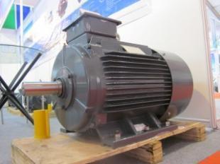 高效電機(jī)雙龍集團(tuán)上海防爆電機(jī)鹽城_世界工廠網(wǎng)