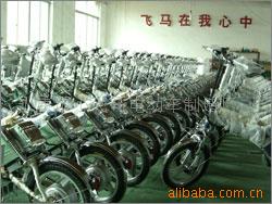 永康市小飛馬電動車制造廠